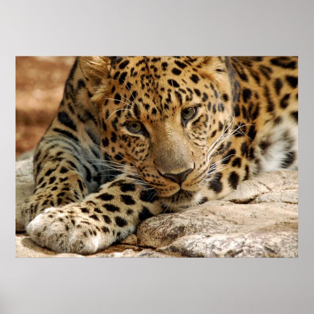 Póster Si Solo... Me Pudieran Salvar (Frente)