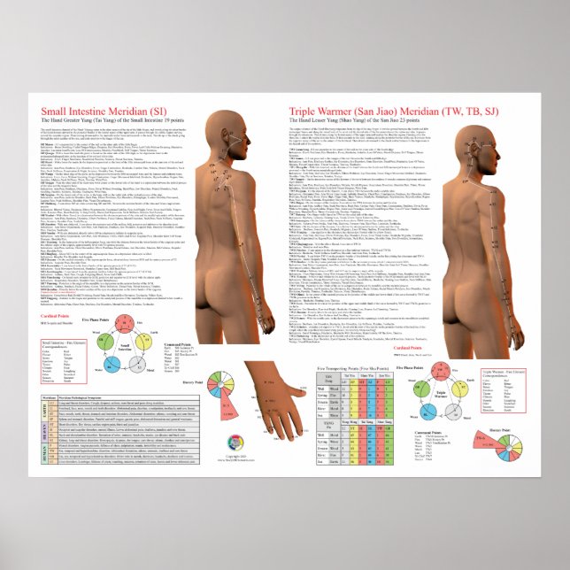 Póster SI TW Meridian Acupuncture Points (Frente)
