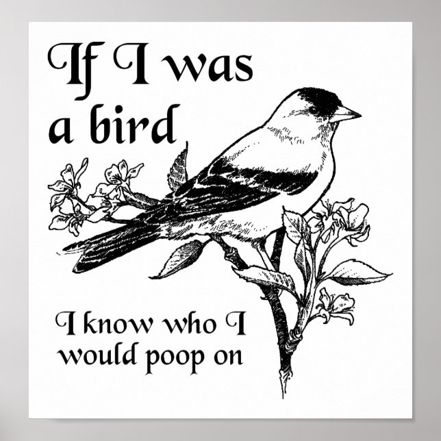 Póster Si yo fuera un Poster curioso (Frente)