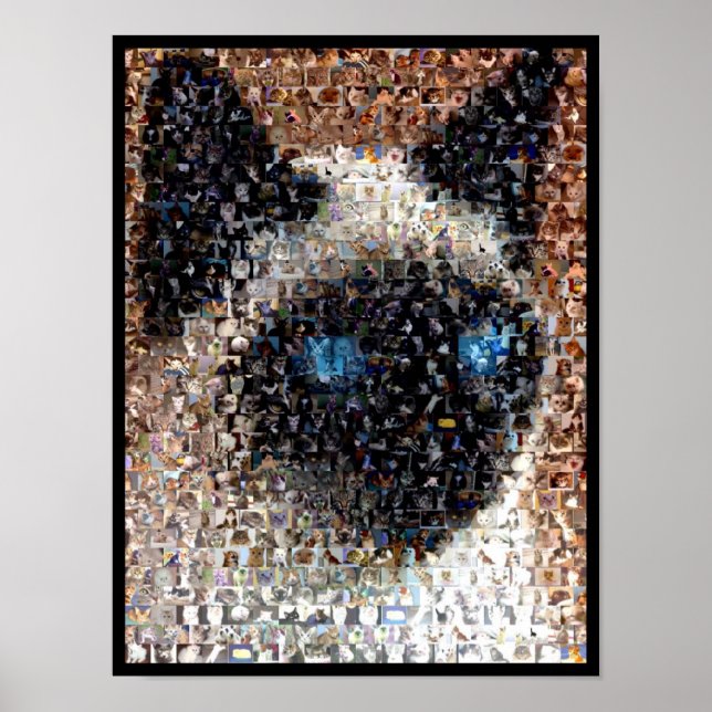 Póster siamese Cat Montage (Frente)