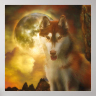 PÓSTER SIBERIAN HUSKY MOON KINGDOM
