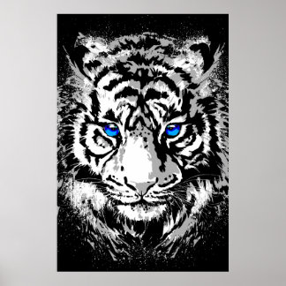 Póster Siberian White Tiger Head - Tiger Poster Blue Eyes