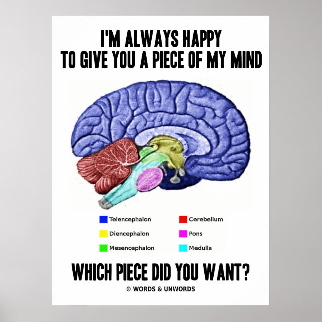 Póster Siempre estoy feliz de darte un pedazo de mi mente (Frente)