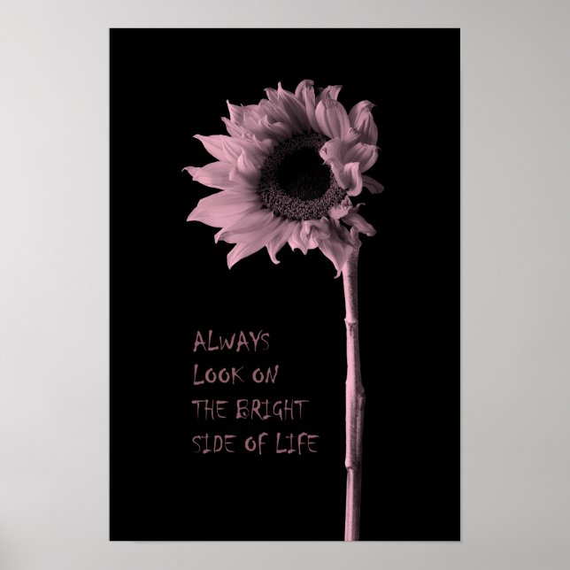 Póster "Siempre miren el lado luminoso de la vida" giraso (Frente)
