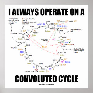 Póster Siempre Trabajo En Un Ciclo Convolucionado (Krebs)