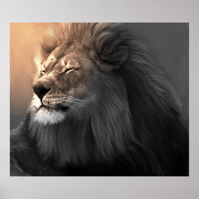 Póster Siente La Luz Blanca (Frente)