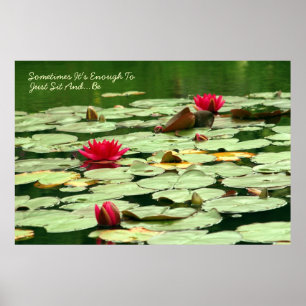 Póster Siéntese y sea Waterlilies