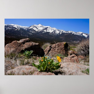 Póster Sierra Mountain View