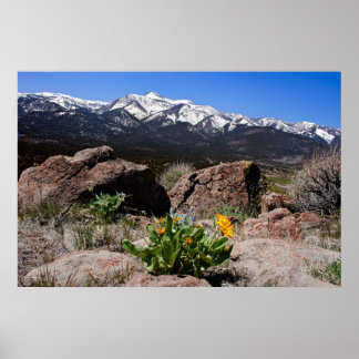 Póster Sierra Mountain View