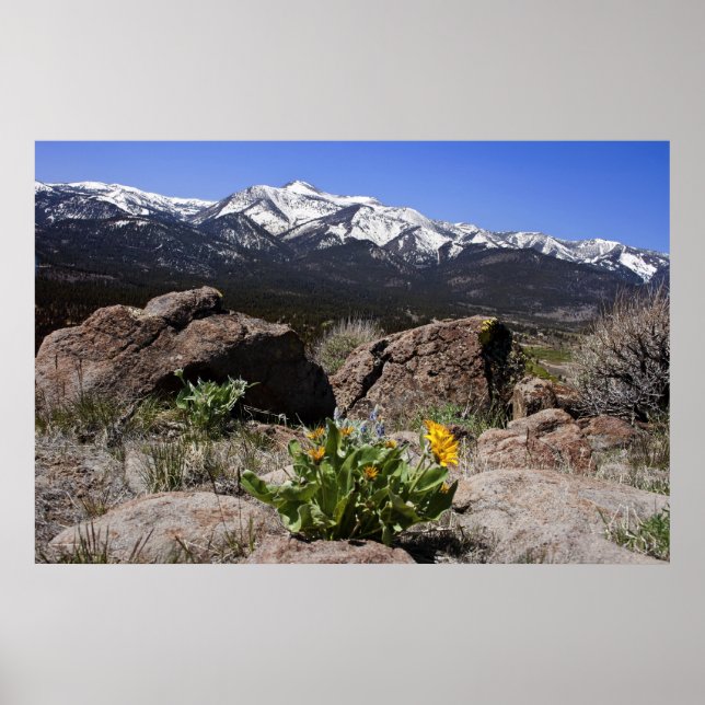 Póster Sierra Mountain View (Frente)