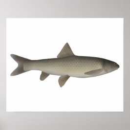 Póster Siete Khramulya