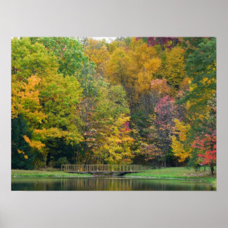 Póster Siete Springs Fall Bridge II Paisaje de Otoño