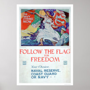 Póster Siga la bandera de la libertad (US02179)