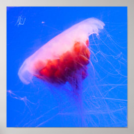 Póster Signed Red Jellyfish