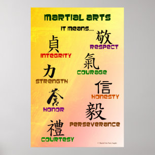 Póster Significa Poster de Artes Marciales