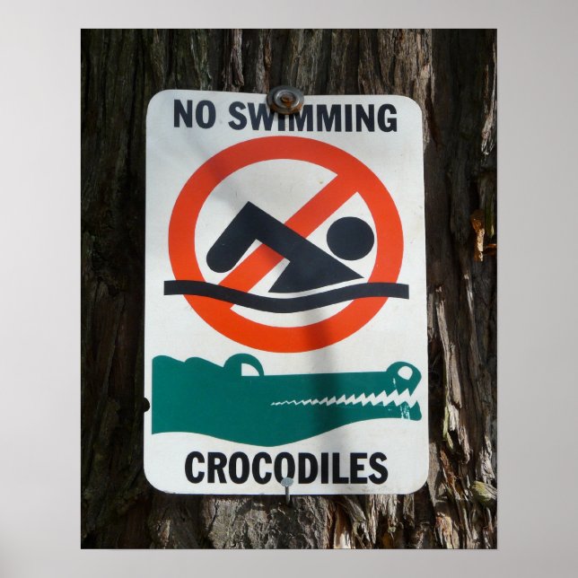 Póster Signo de advertencia de Gracioso NO SWIMMING (Frente)