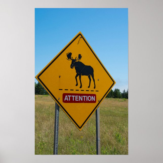 Póster Signo de advertencia de Moose (Frente)