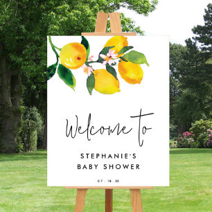Póster Signo de bienvenida de Baby Shower de verano para 