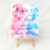 Signo de bienvenida de Fiesta de revelación de sex
