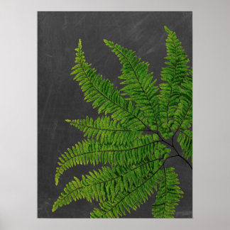 Póster Signo de fern con cartón cromado Antecedentes n.º