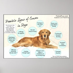 Póster Signs of Cancer Poster