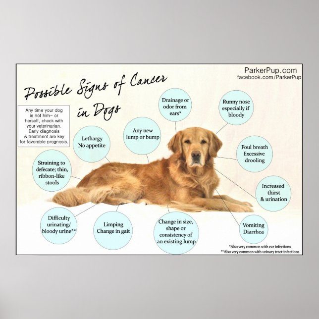 Póster Signs of Cancer Poster (Frente)