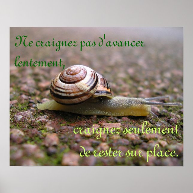 Póster Sigue adelante! -Francés (Frente)