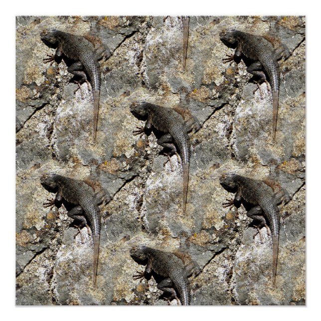 Póster Sigue escalando...... (Anverso)