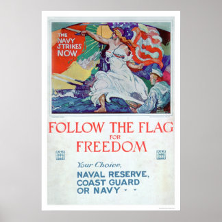 Póster Sigue la bandera de la libertad (US02179)
