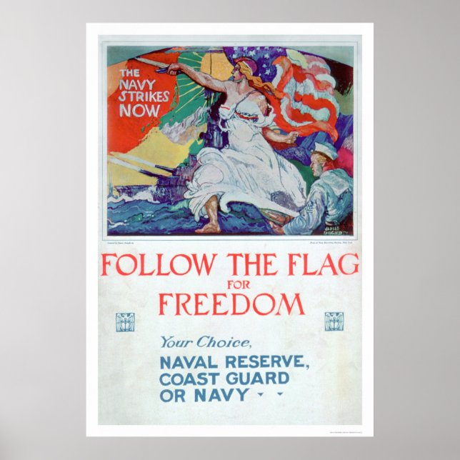 Póster Sigue la bandera de la libertad (US02179) (Frente)