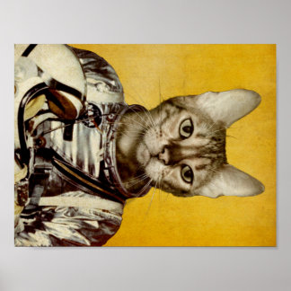 Póster Sigue tus sueños