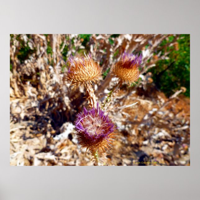 Póster Silbato (Frente)