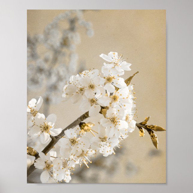 Póster Silbato de Susurros Florales Despliega Flores De C (Frente)