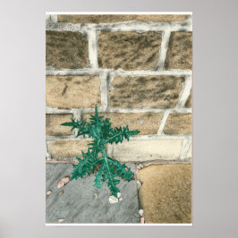 Póster Silbato y fichas