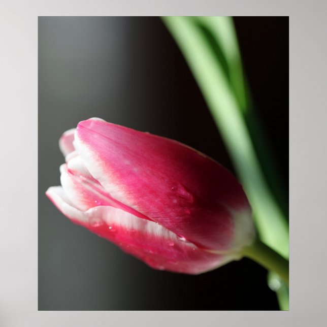 Póster Silencio (Frente)