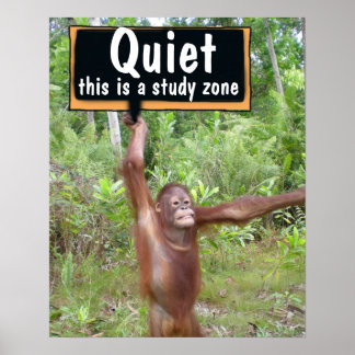 Póster Silencio Por Favor Aula