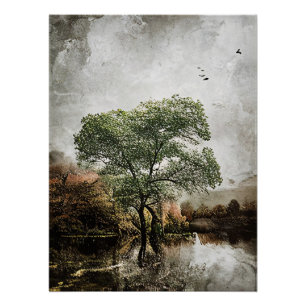 Póster Silencio reflejado
