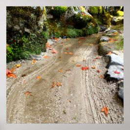 Póster Silent Passage — Japanese Wabi-Sabi Photo Poster