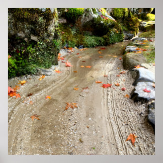 Póster Silent Passage — Japanese Wabi-Sabi Photo Poster