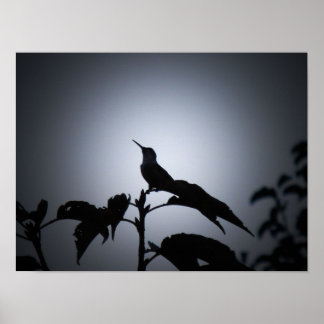 Póster Silhouette