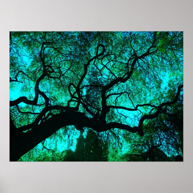 Póster Silhouette de árbol de Fantasy Turquoise (Frente)