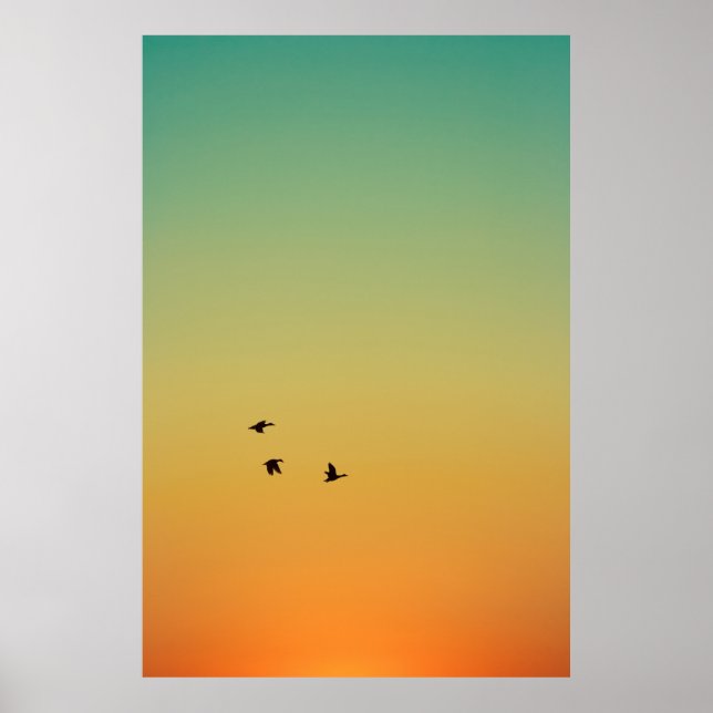 PÓSTER SILHOUETTE DE AVES VOLANDO DURANTE EL SOL (Frente)