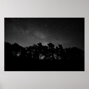 PÓSTER SILHOUETTE DE BOSQUE DURANTE LA NOCHE