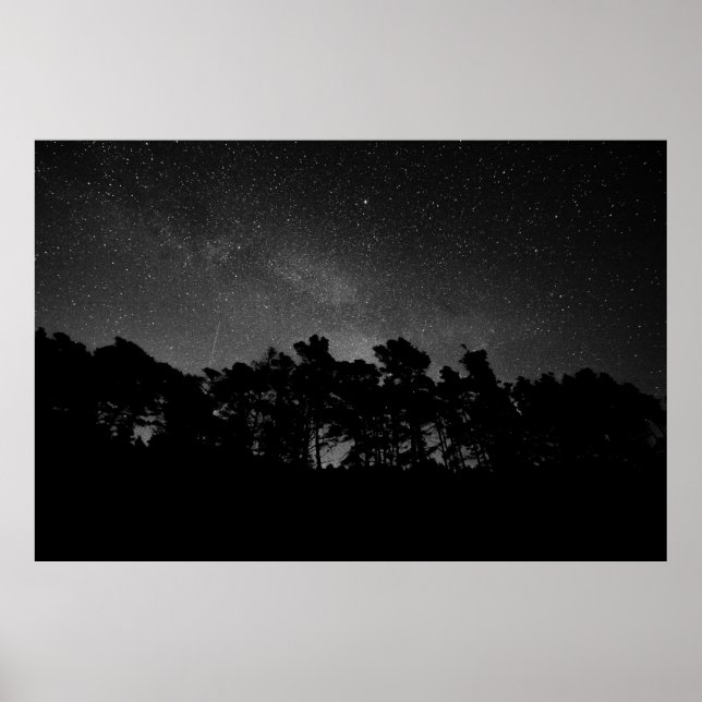 PÓSTER SILHOUETTE DE BOSQUE DURANTE LA NOCHE (Frente)