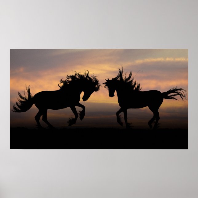Póster Silhouette de Caballos Salvajes (Frente)