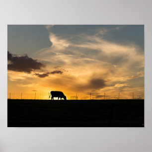 Póster Silhouette de Cattle Sunset