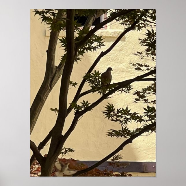 Póster Silhouette de Lovedove (Frente)