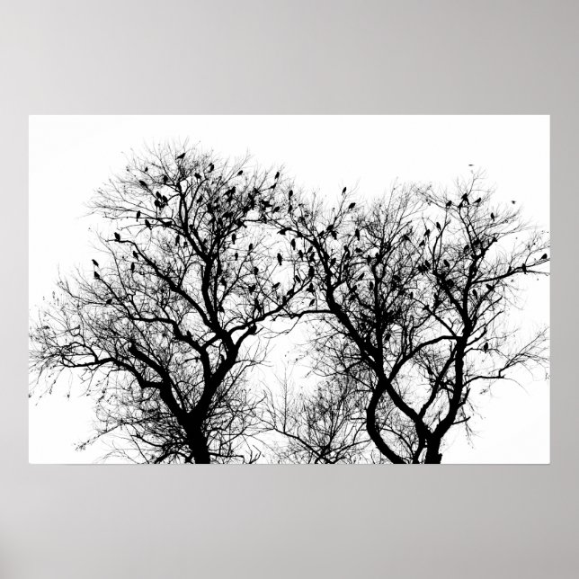 Póster Silhouette de pájaro y árbol. (Frente)