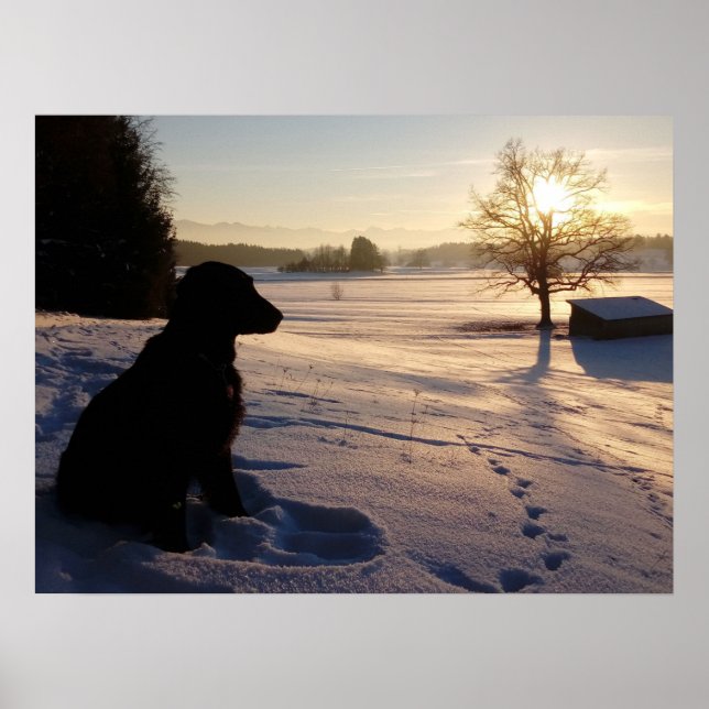 Póster Silhouette de perro en el paisaje de Snowy (Frente)
