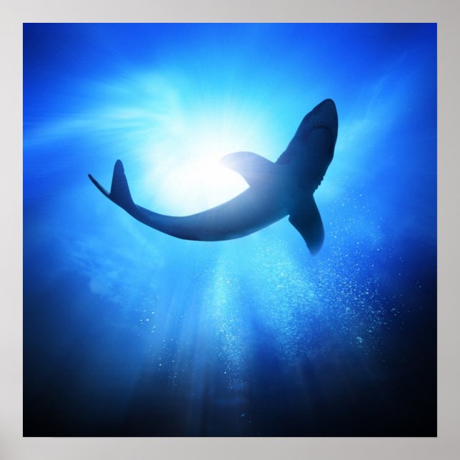 Póster Silhouette Deep Ocean Shark (Frente)